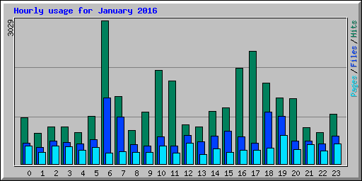 Hourly usage for January 2016