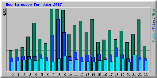 Hourly usage for July 2017